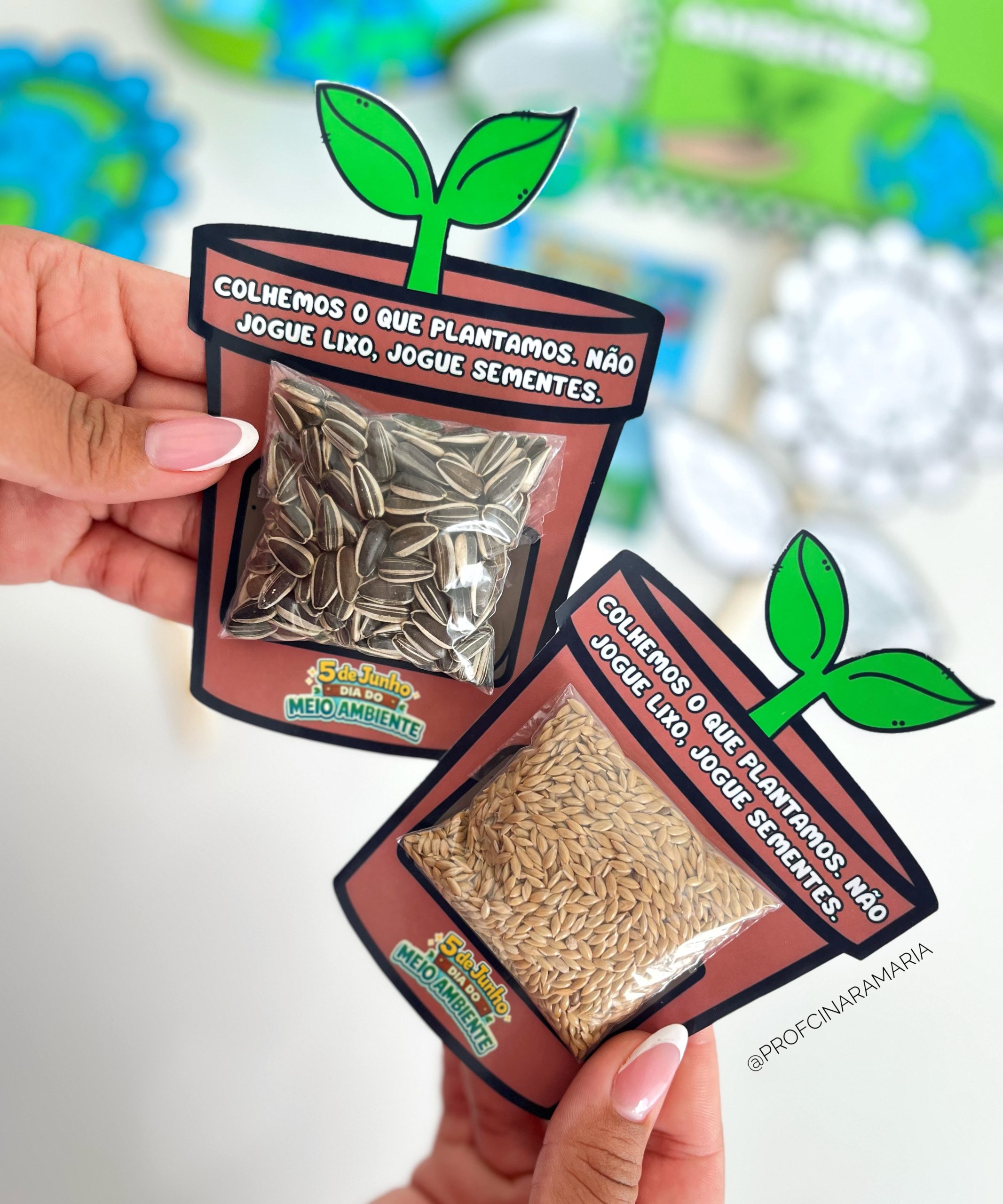 Kit lembrancinhas DIA DO MEIO AMBIENTE