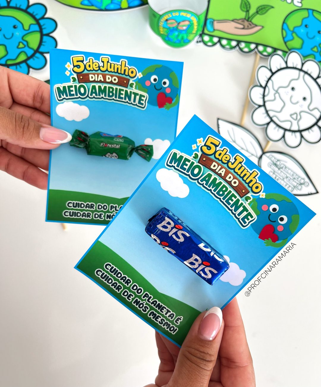 Kit lembrancinhas DIA DO MEIO AMBIENTE – Professora Cinara Maria ...